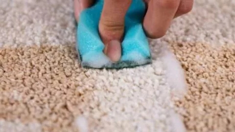 انواع لکه‌ها و روش‌های لکه‌گیری فرش